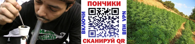 Все наркотики Кочубеевское Лсд 25 hydra ССЫЛКА ГАШИШ МЕФ