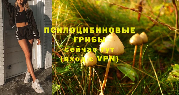 гашиш Абаза