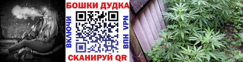 наркошоп Кочубеевское Конопля индика